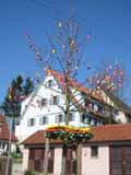 Osterbaum am Dorfplatz in Büttelbronn