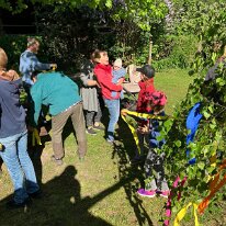 Maibaum 6