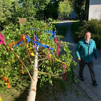 Maibaum 7