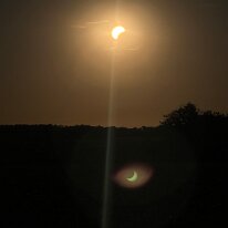IMG_4211