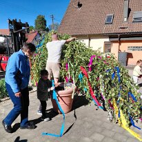 Maibaum OM6