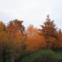IMG_6171